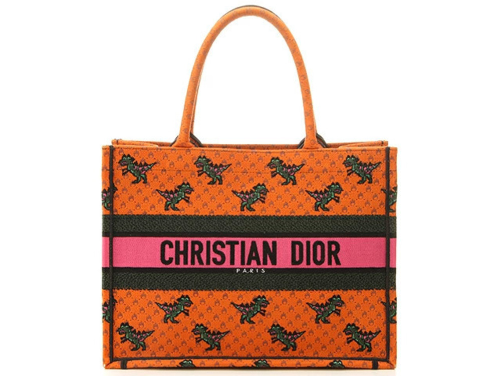 Christian Dior Book Tote Bag Dinosaur Orange Canvas